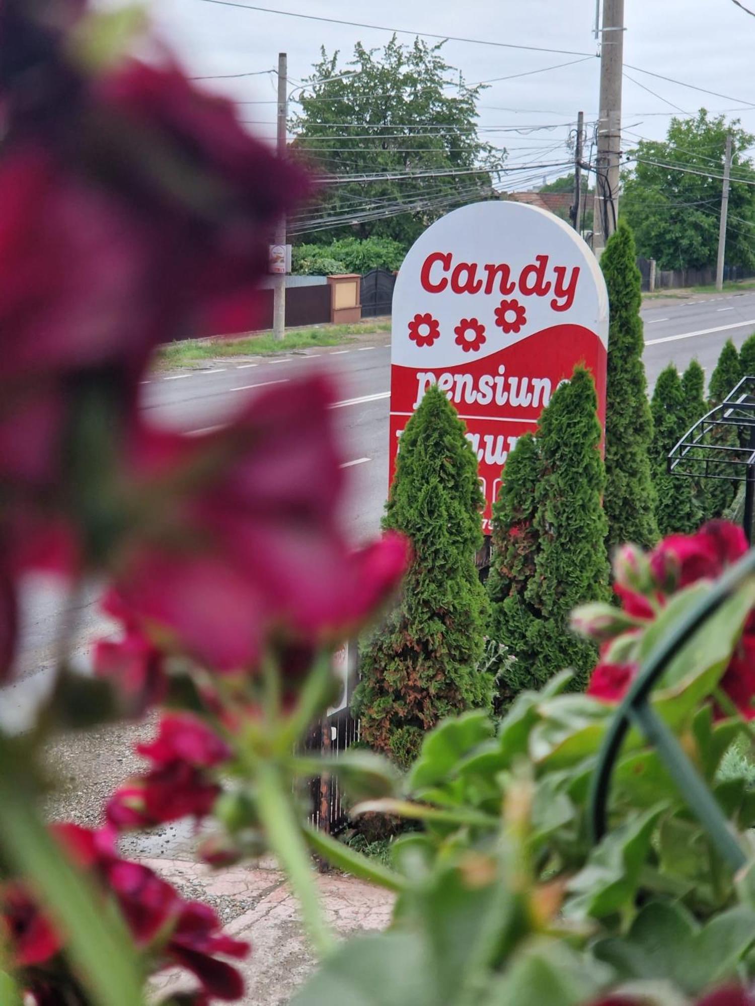 Candy Pensiune&Restaurant Dumbrava Roşie 外观 照片
